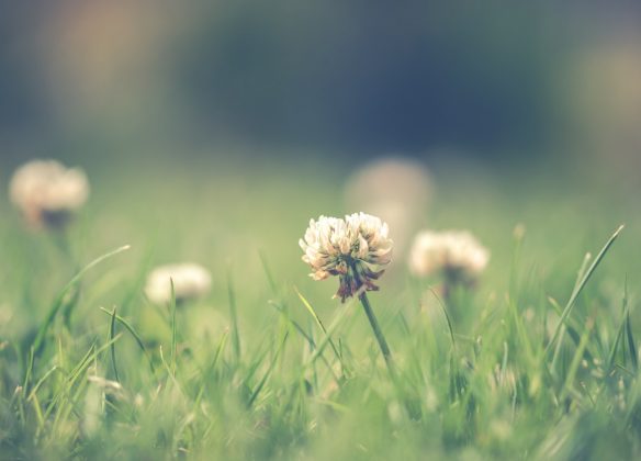Choisir un funérarium à Bayeux